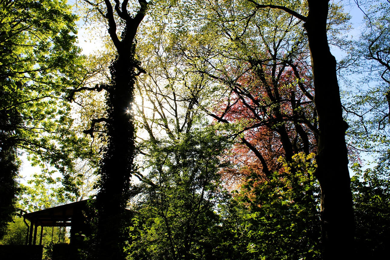 Bruggetje Stadspark