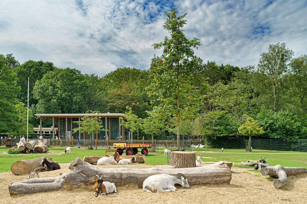 Kinderboerderij Kinderboerderij